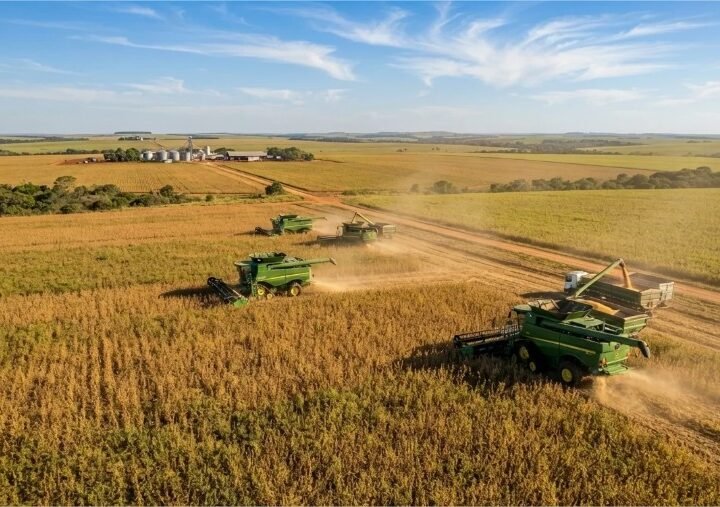 Mato Grosso lidera o Valor Bruto da Produção Agropecuária no país com R$ 216 bilhões, aponta Mapa