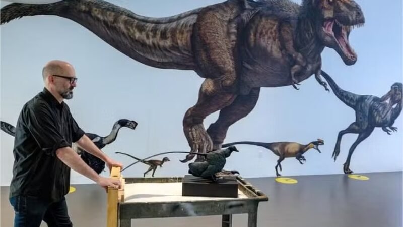 Existiram dinossauros pequenos? Estudo investiga um dos maiores mistérios da evolução