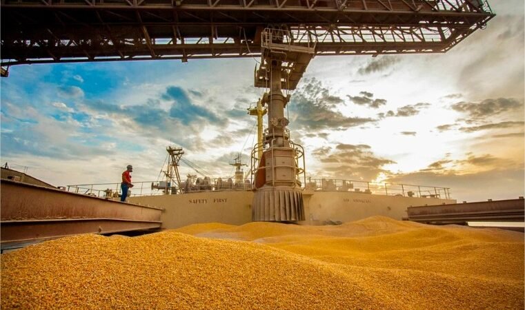 Exportações de milho seguem abaixo de 2025 com atraso da colheita e baixa liquidez