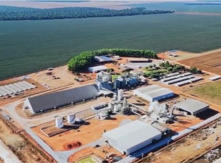 Abertura Nacional do Plantio da Soja 2026/27 acontece em Ipiranga do Norte