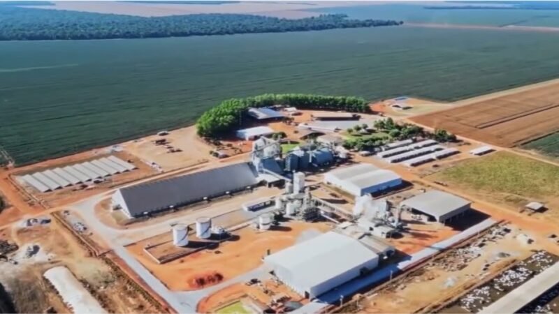 Abertura Nacional do Plantio da Soja 2026/27 acontece em Ipiranga do Norte