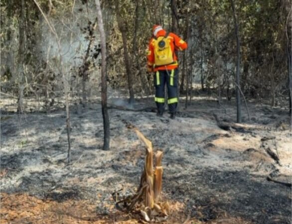 Corpo de Bombeiros extingue incêndio em zona rural de Lucas do Rio Verde