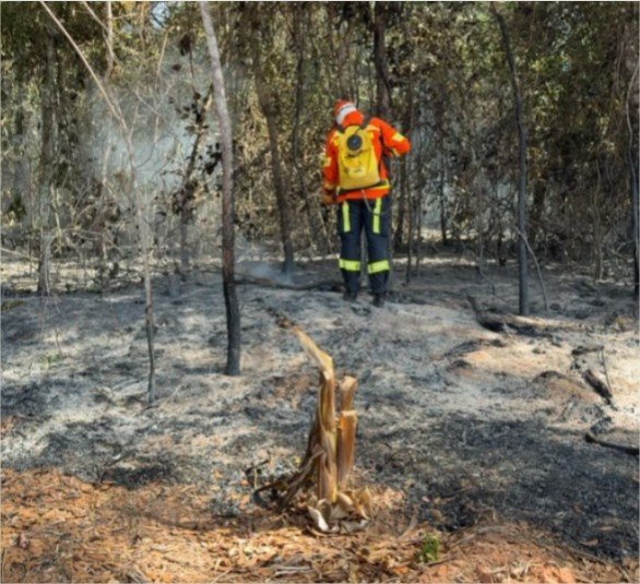 Corpo de Bombeiros extingue incêndio em zona rural de Lucas do Rio Verde