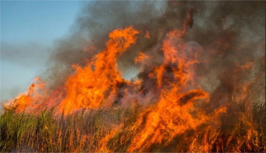 Mato Grosso registra disparada nos focos de calor e lidera ranking nacional de queimadas em 2026