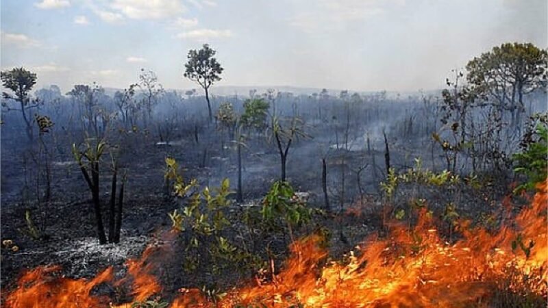 Mato Grosso registra cinco incêndios florestais e mantém bombeiros em operação