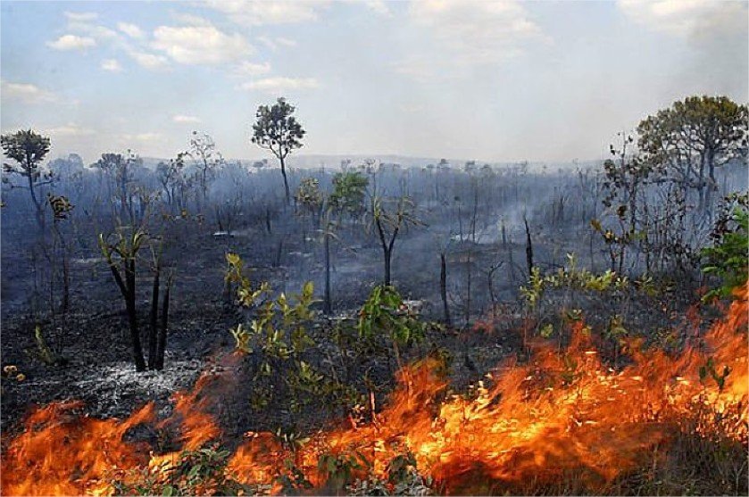 Mato Grosso registra cinco incêndios florestais e mantém bombeiros em operação