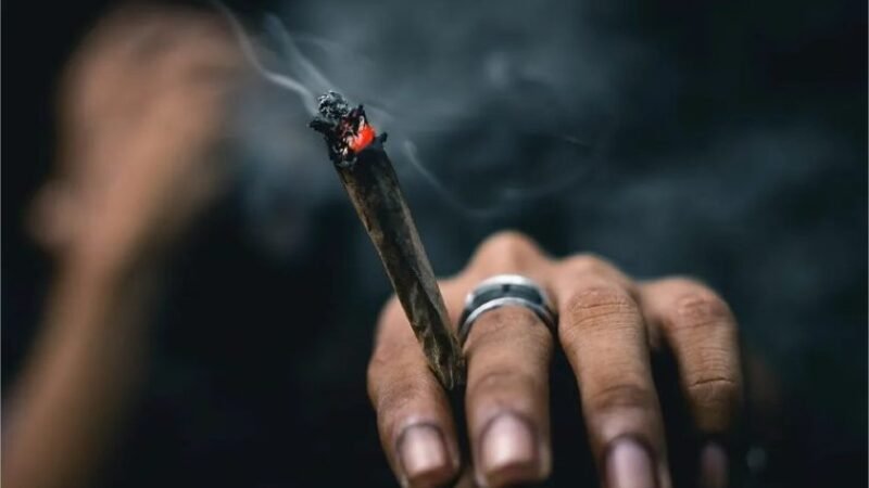Porte de maconha para uso pessoal leva Justiça de MT a arquivar ação contra jovens