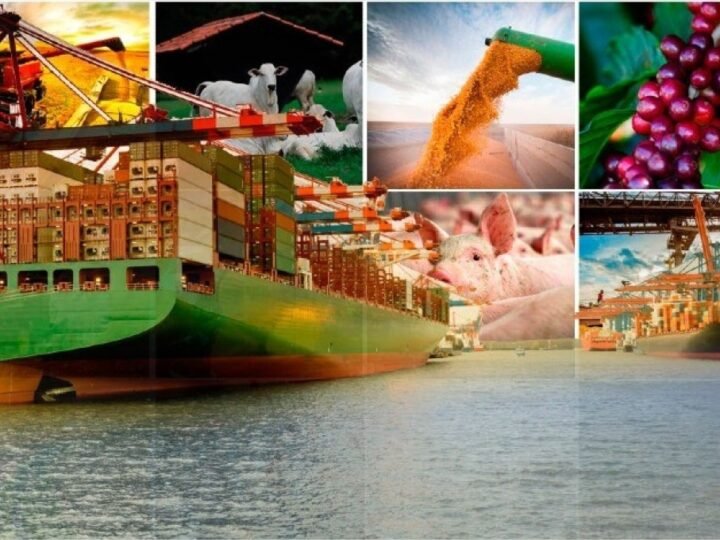 Agro amplia exportações em agosto com avanço da soja, café e frango