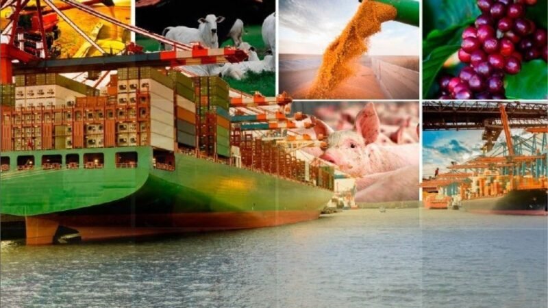Agro amplia exportações em agosto com avanço da soja, café e frango