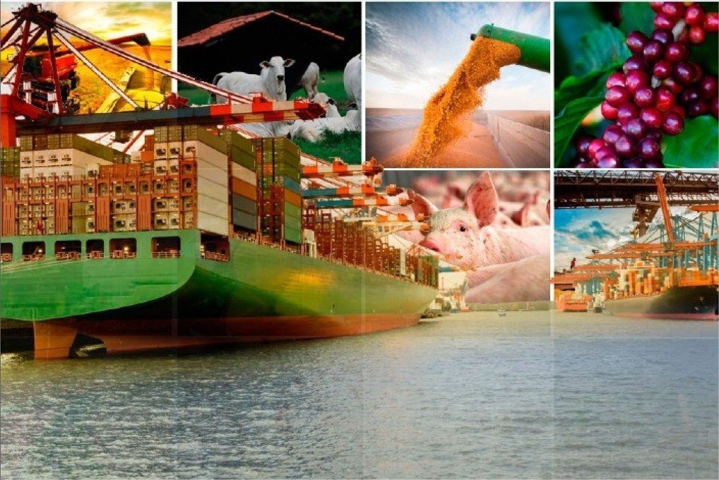 Agro amplia exportações em agosto com avanço da soja, café e frango
