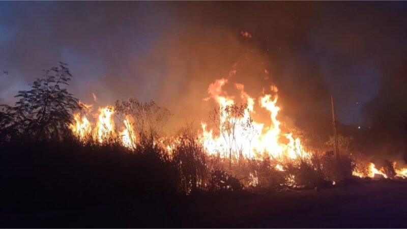 Estratégia de prevenção derruba queimadas em Mato Grosso ao menor nível em 28 anos