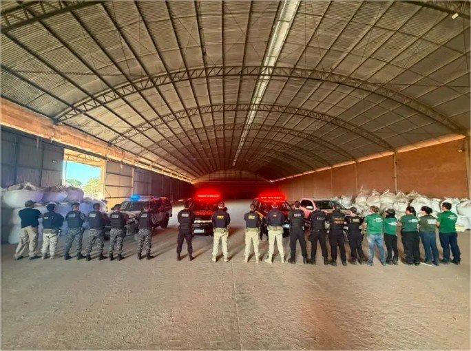 Operação Safra Paralela investiga adulteração de fertilizantes e furto de grãos em Rondonópolis