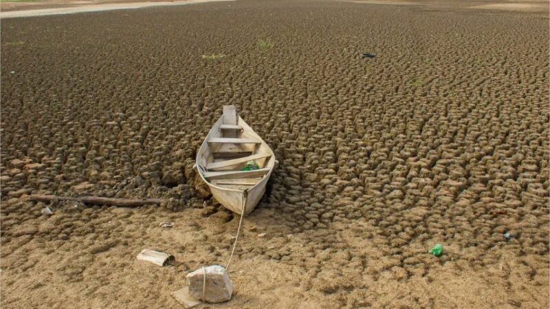 Brasil promete restaurar 163 mil km² até 2030