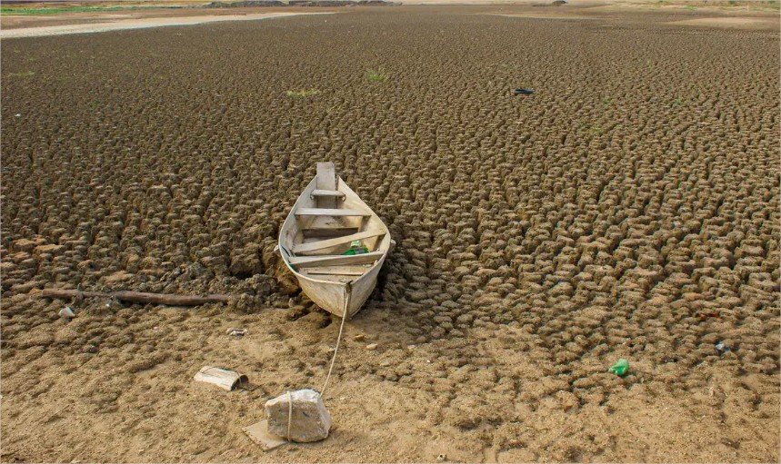 Brasil promete restaurar 163 mil km² até 2030