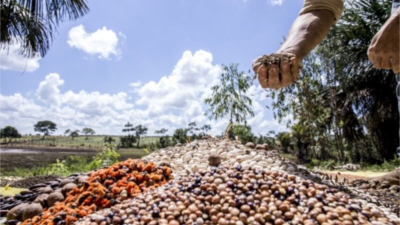 Mercado de sementes de R$ 47 bilhões abre congresso hoje