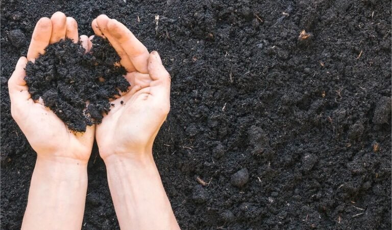 Da terra ao bolso: como a disparada nos insumos reacendeu o valor da preparação do solo em Mato Grosso