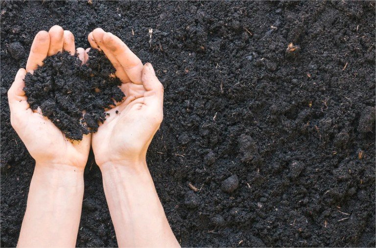 Da terra ao bolso: como a disparada nos insumos reacendeu o valor da preparação do solo em Mato Grosso