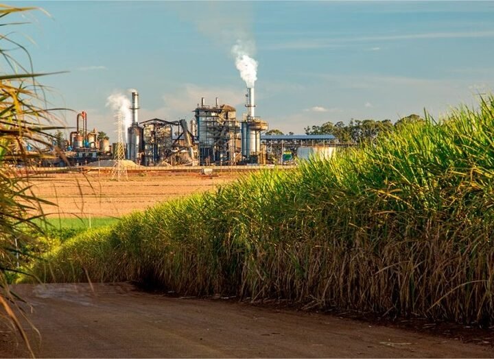 Safra chega a 705 milhões de toneladas com avanço do etanol e recuo do açúcar