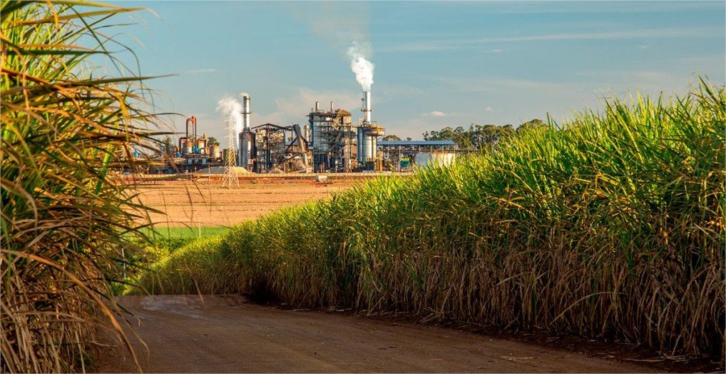 Safra chega a 705 milhões de toneladas com avanço do etanol e recuo do açúcar