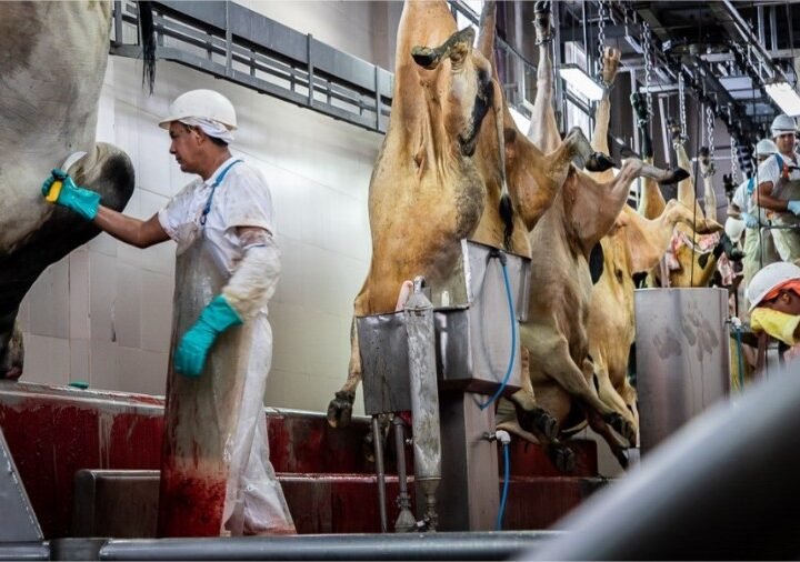 Produtos bovinos brasileiros podem ganhar mais espaço no mercado japonês