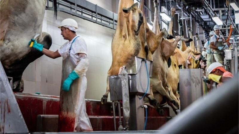 Produtos bovinos brasileiros podem ganhar mais espaço no mercado japonês