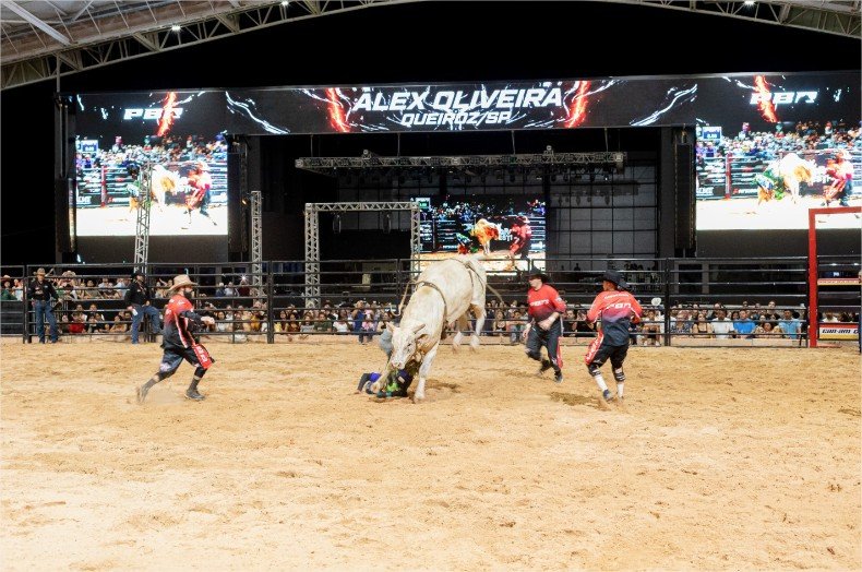 O homem que corre em direção ao perigo para salvar vidas na arena