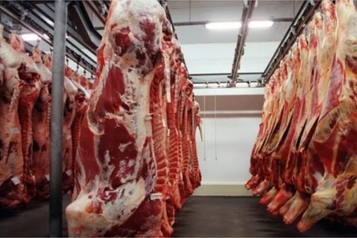 Exportações de carne de MT crescem 30% e faturamento avança 51%