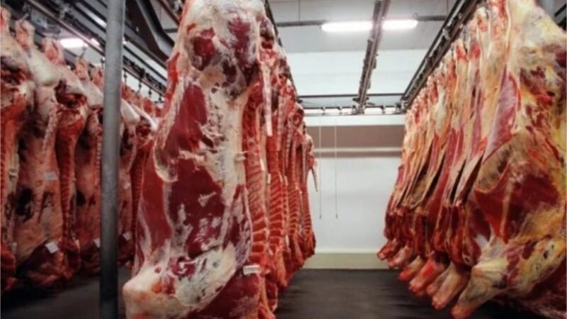 Exportações de carne de MT crescem 30% e faturamento avança 51%