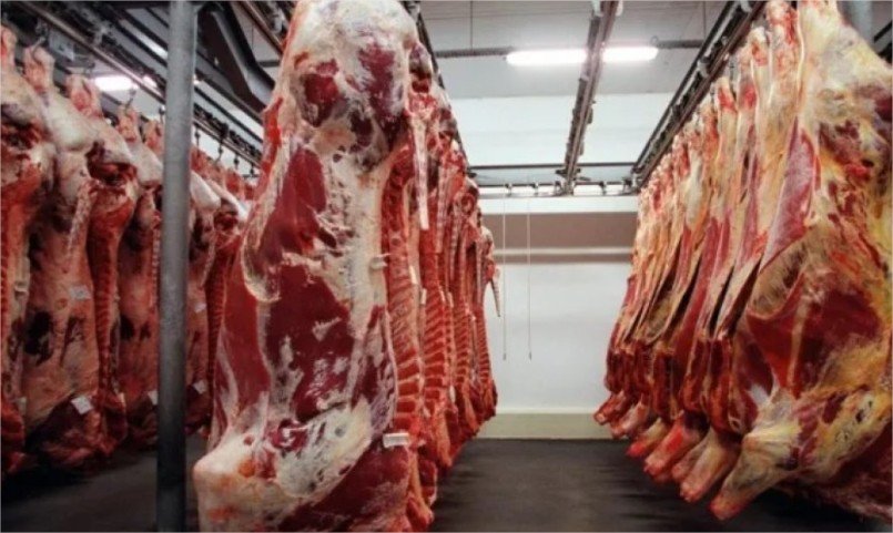 Exportações de carne de MT crescem 30% e faturamento avança 51%