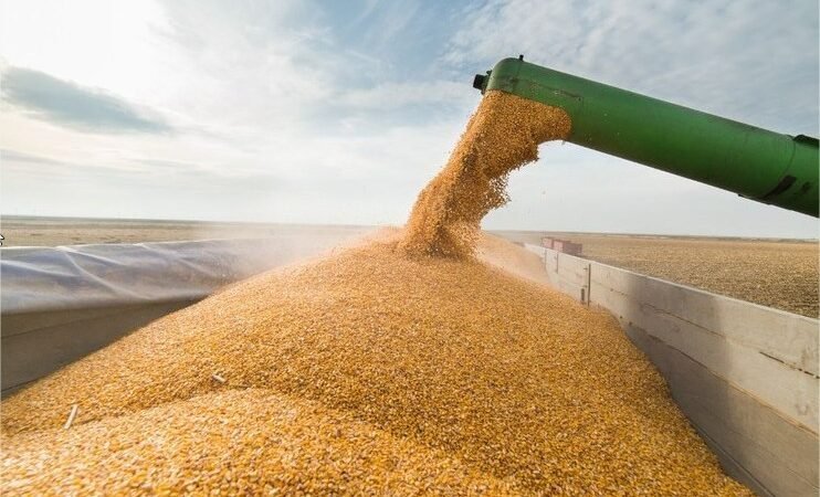 Safra maior pode reduzir receita do campo em R$ 66 bilhões