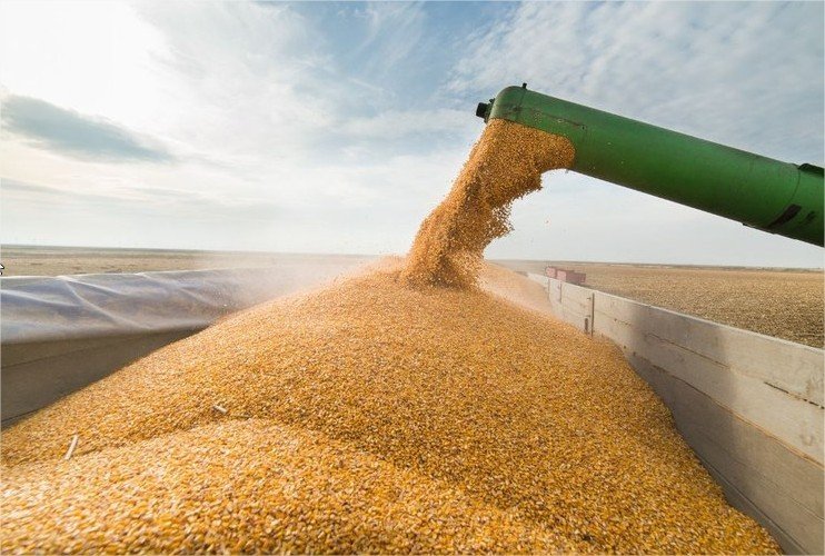Safra maior pode reduzir receita do campo em R$ 66 bilhões