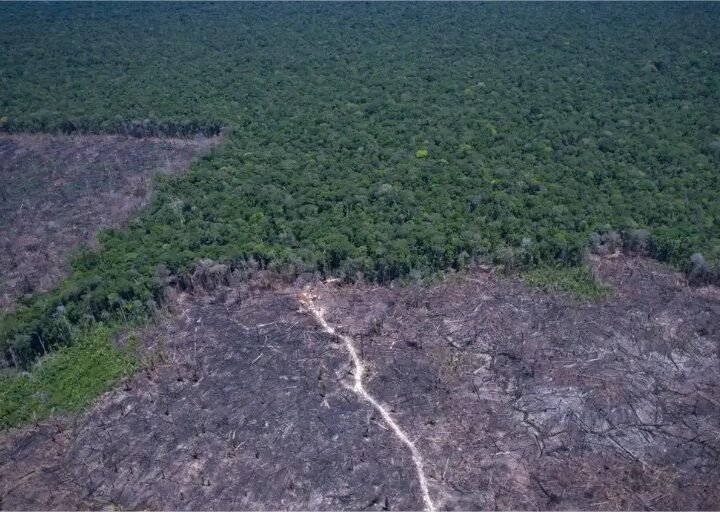 Ministério Público de Mato Grosso destaca tecnologia contra o desmatamento ilegal e faz alerta na Exposul