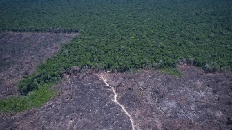 Ministério Público de Mato Grosso destaca tecnologia contra o desmatamento ilegal e faz alerta na Exposul