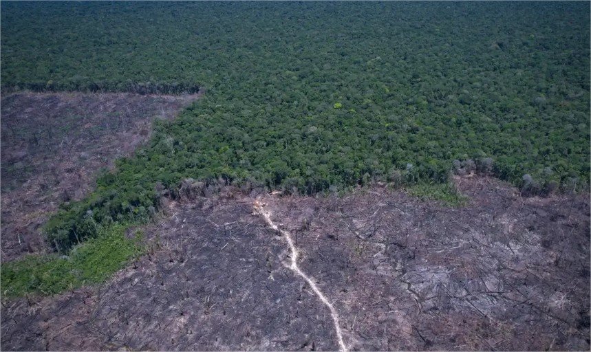Ministério Público de Mato Grosso destaca tecnologia contra o desmatamento ilegal e faz alerta na Exposul
