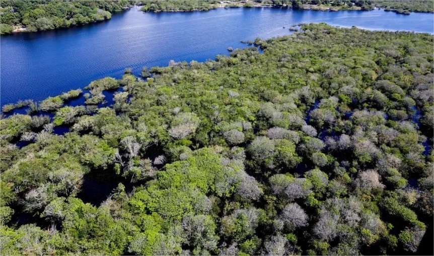 Floresta+ Amazônia: Edital injeta até R$ 650 mil em ações ambientais de Mato Grosso