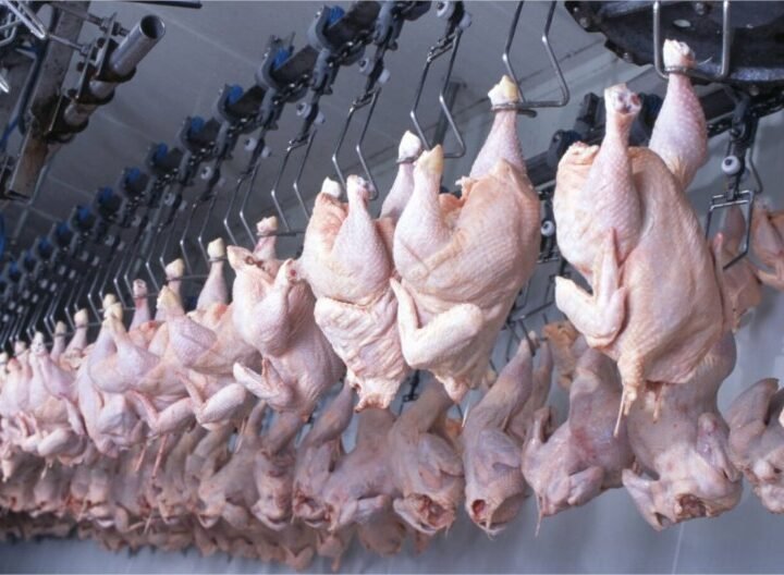 Frango brasileiro recupera mercados e exportações crescem 29,9%