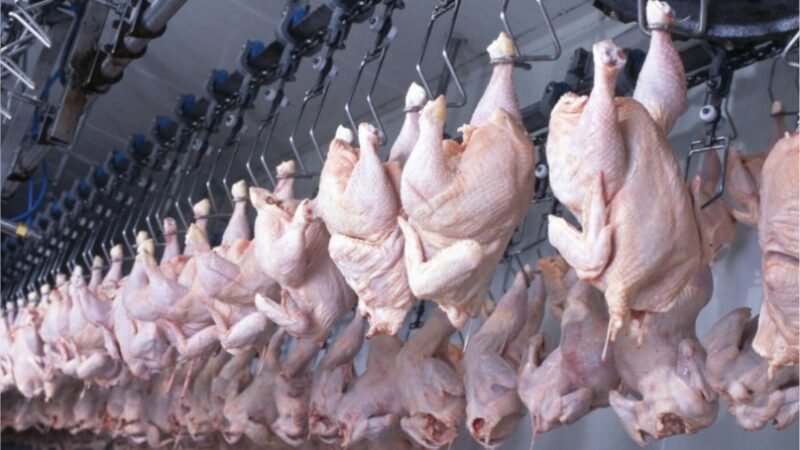 Frango brasileiro recupera mercados e exportações crescem 29,9%
