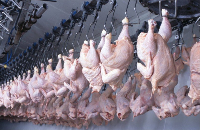 Frango brasileiro recupera mercados e exportações crescem 29,9%