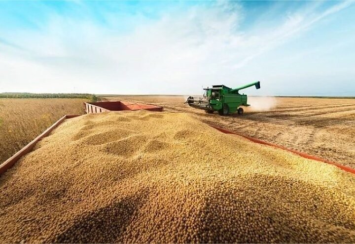 Mato Grosso registra recorde no esmagamento de soja em julho