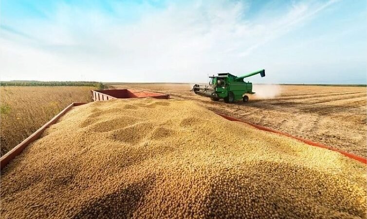 Mato Grosso registra recorde no esmagamento de soja em julho
