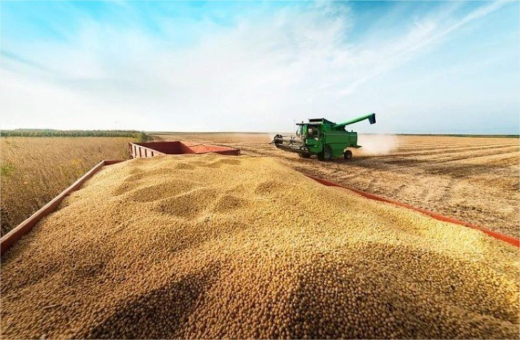 Mato Grosso registra recorde no esmagamento de soja em julho