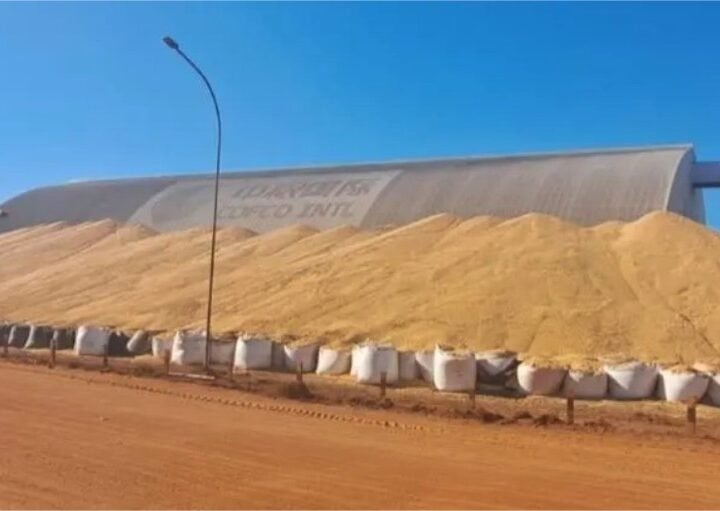 Safra recorde deve superar capacidade dos armazéns em 133 milhões de toneladas