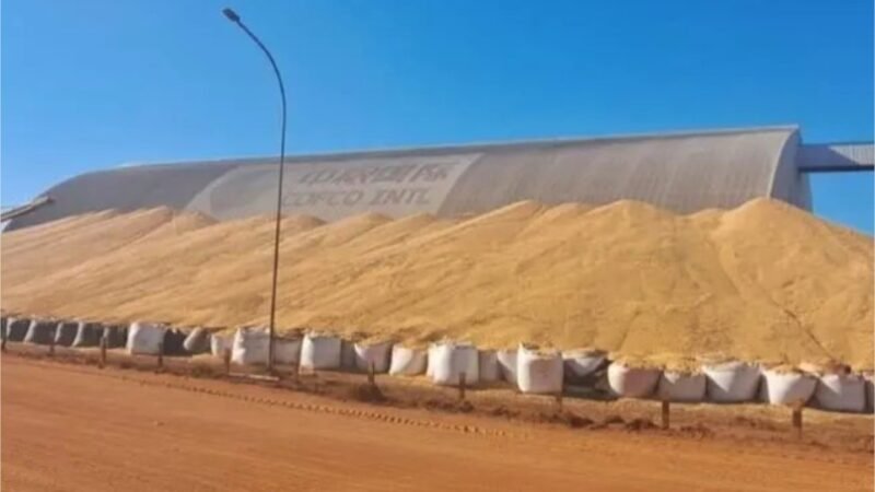 Safra recorde deve superar capacidade dos armazéns em 133 milhões de toneladas