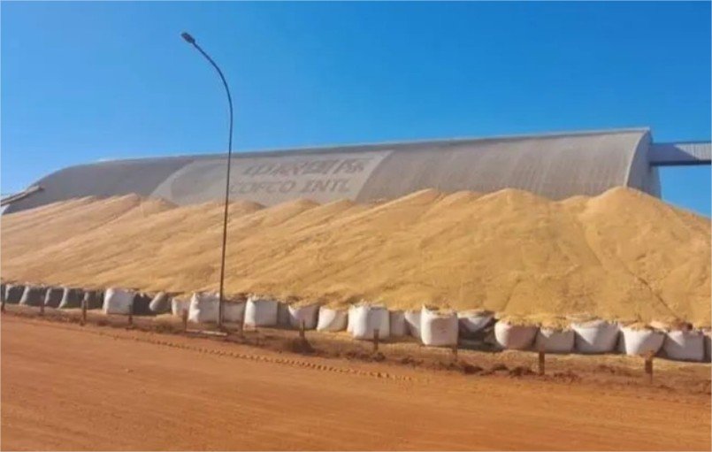 Safra recorde deve superar capacidade dos armazéns em 133 milhões de toneladas