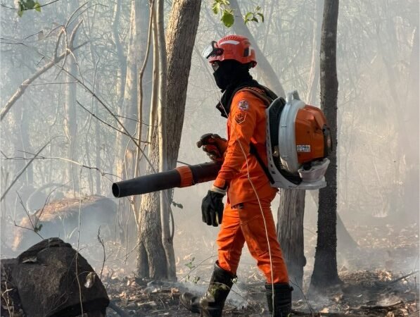 Bombeiros extinguem incêndio em área de mata e pastagem em Mirassol D’Oeste