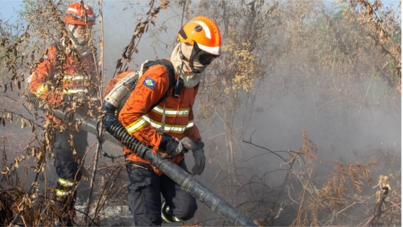 Mato Grosso registra queda de 60% nos focos de calor em 2026
