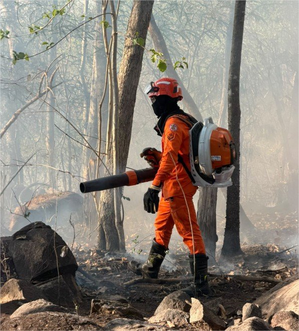 Bombeiros extinguem incêndio em área de mata e pastagem em Mirassol D’Oeste
