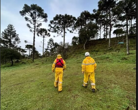 Destroços de helicóptero com cantor Rick são encontrados; não há sobreviventes