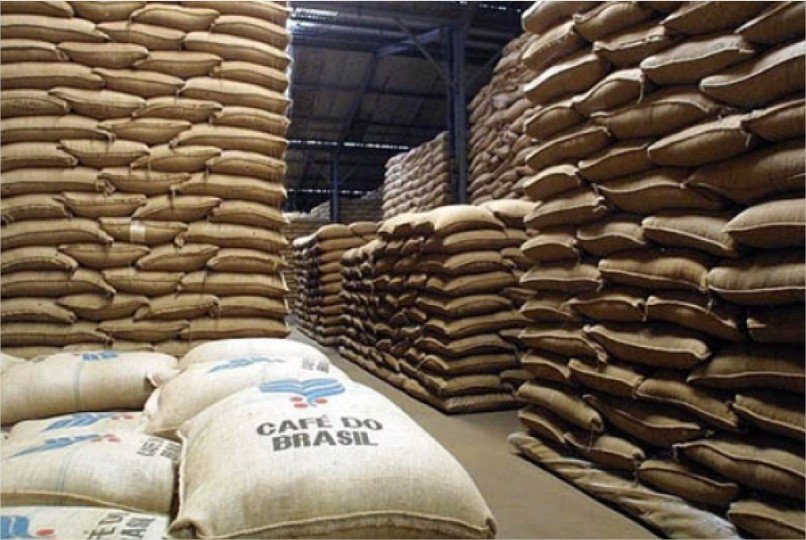 Brasil deverá colher 67,6 milhões de sacas de café de 60 quilos em 2026