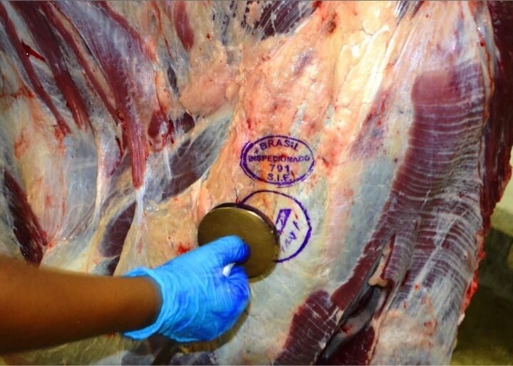 Pecuária de Mato Grosso lidera exportações de carne bovina em 2026